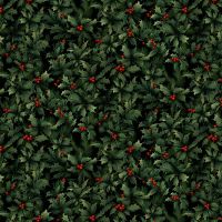 ttHOLIDAY-CD4766 HOLLY